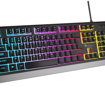 GENESIS Rhod 300 RGB. Keyboard form factor: Full-size (100%). Keyboard style: Straight. Connectivity technology: Wired, Device interface: USB, Keyboard key switch: Membrane, Keyboard layout: QWERTY, Keyboard number of keys: 104. Backlight type: RGB LED.