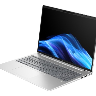 Laptop HP ProBook 4 G1ah cu procesor AMD Ryzen 5 220 6 Core (3.2 GHz up to 4.9 GHz, 16MB), 16.0 inch WUXGA, 16GB DDR5, SSD 512GB PCIe NVMe, AMD Radeon Graphics, Windows 11 Pro 64bit, Pike Silver, 1yw