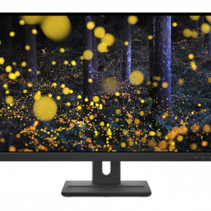 Monitor LED Lenovo ThinkVision E27q-20, 27inch, IPS QHD, 4ms, 75Hz, negru