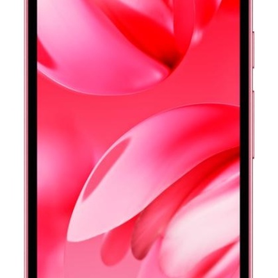 Telefon GOOGLE Pixel 9a, Dual SIM, 8 GB RAM, 128 GB, 5G, Roz - Img 2