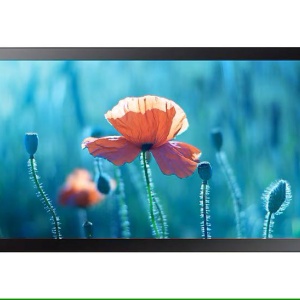 Monitor Touch SAMSUNG QB13R-T, 13", 500nit, 16/7, FHD, E-LED, 8ms, contrast static 600:1, mătuire 10%, Tizen 4.0, MagicINFO S6, CPU A72*4, RAM 2.5GB, stocare 8GB. Temperature sensor, auto source switching & recovery, Button Lock, Hot key option,