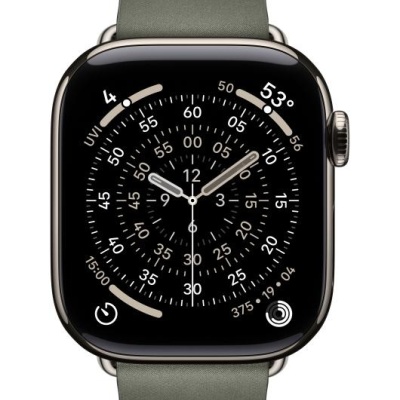 Apple Watch 42mm Sage Gray Modern Buckle - Medium