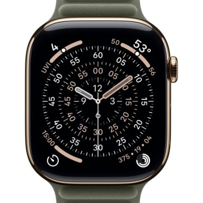 Apple Watch 46mm Sage Gray Magnetic Link - S/M