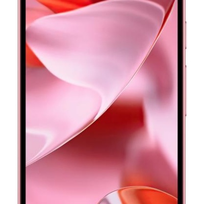 Google Pixel 9 5G DualSIM 12 GB RAM 128GB, Peony (Roz) - Img 2