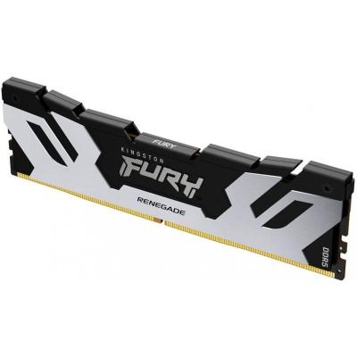 Memorie RAM Kingston FURY Renegade Silver, 16GB DDR5, 6400MHz, CL32
