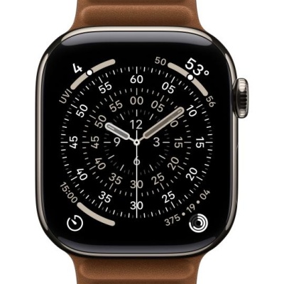 Apple Watch 42mm Caramel Magnetic Link - S/M