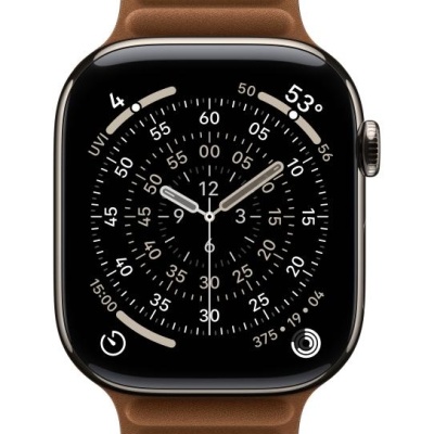 Apple Watch 46mm Caramel Magnetic Link - M/L