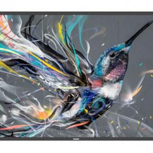Ecran profesional Philips Q-Line 65"