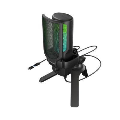 Microfon Genesis Radium 250, tip Condenser, model cardioid, suport fix, conectivitate USB-C, raspuns in frecventa 50 - 16.000 Hz, sensibilitate 40 dB, lungime cablu 200 cm, negru