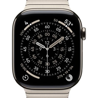 Apple Watch 46mm Natural Link Bracelet