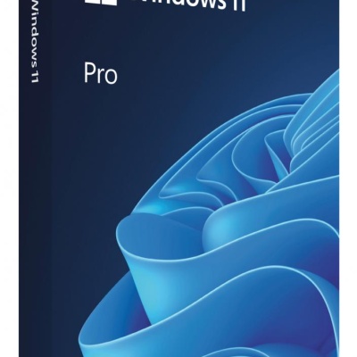 Licenta retail Microsoft Windows 11 Pro 32-bit/64-bit Romanian USB