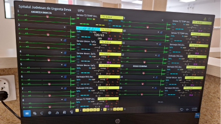 Statie centrala de monitorizare - afisare pe monitor - Medicalcorp.ro