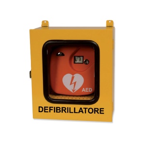 Dulap metalic defibrilator pentru exterior, cu sistem termoregulator si alarma