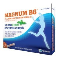 MAGNUM B6 KESICE-popust zbog roka 03/25