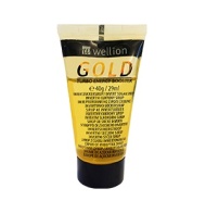 Wellion invertni mešani sirup sa aromom vanile 40g/29ml