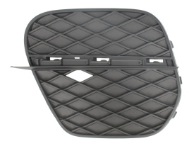 Element bara, grila protectie bara fata stanga compatibil BMW X5 E70 2010-2013 Facelift, culoare negru