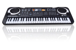 Orga electronica cu 61 de clape si microfon pentru copii (Keyboard, Pian electronic)