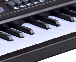 Orga electronica cu 61 de clape si microfon pentru copii (Keyboard, Pian electronic) - Img 6