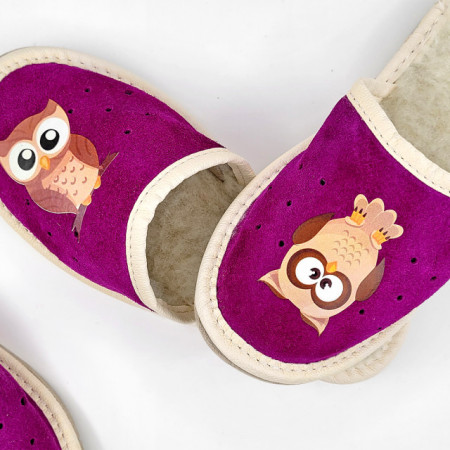 Papuci de Casa Imblaniti cu Lana pentru Copii Marca Tylbut Model &#039;Cute Owl&#039;