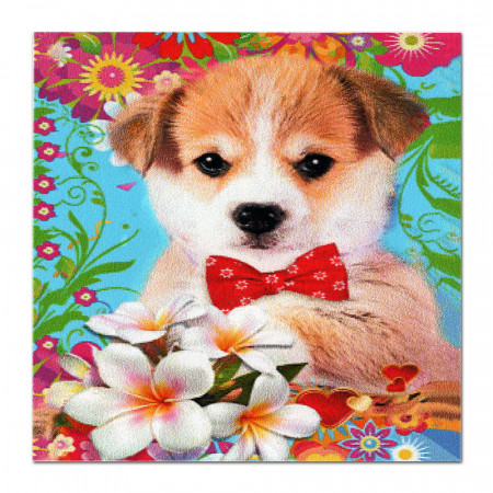 Pictura cu Diamante 5D Kit Complet Model 'Puppy Garden' 20x20cm