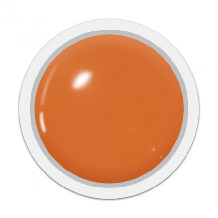 Geluri Color 108 ONLY ORANGE - Geluri Colorate Unghii Exclusive Nails