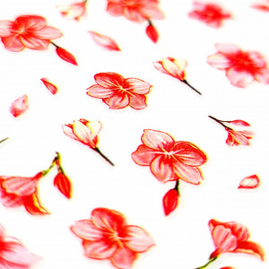 Abtibilde Unghii Culoare Multicolor Model 'La Vie en Rose' No. Z-D3900