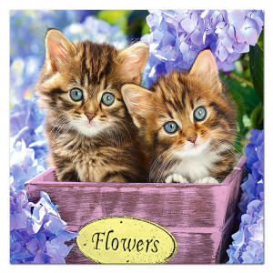 Pictura cu Diamante 5D Kit Complet Model 'Cute Kittens' 20x20cm