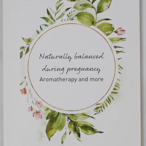 Naturally Balanced in Pregnancy by Tanja Daniels & Petra Lomartire Lb. Englez