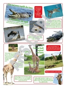 Animale uriase - Img 3