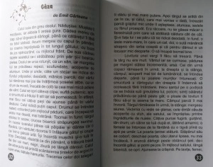 O Lume Minunată (lecturi de vacanță) - Clasa a III-a - Img 5
