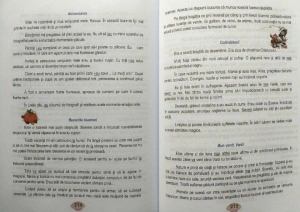Ortografia și punctuația la clasele primare și gimnaziale editura Ars libri - Img 7