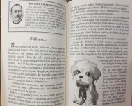 Lecturi suplimentare 300 PAG - clasa a II-a