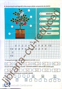 Matematică și explorarea mediului - Caiet de lucru-clasa I - Img 6