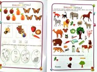 Matematica și explorarea mediului, Clasa pregătitoare - Caiet de lucru