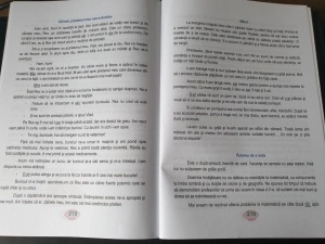 Ortografia și punctuația la clasele primare și gimnaziale - Img 3