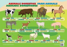 Plansa Animale Domestice