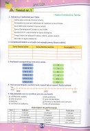 Teste de evaluare (descriptori de performanta) - Clasa a IV-a. Limba romana - Matematica - Stiinte ale naturii - Educatie civica - Istorie - Geografie