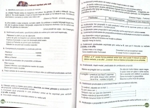Exerciții de Limba și Literatura Română, Clasa a IV-a - Img 2