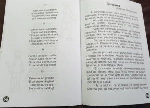 O Lume Minunată (lecturi de vacanță) - Clasa a I-a - Img 2