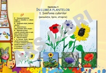 Arte vizuale și abilități practice, Clasa Pregătitoare 