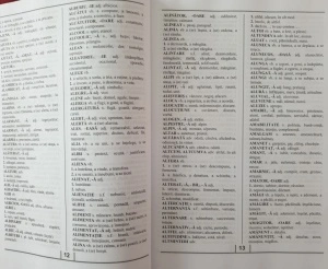 Dicționar - Sinonime, Antonime, Omonime, Paronime - Img 3