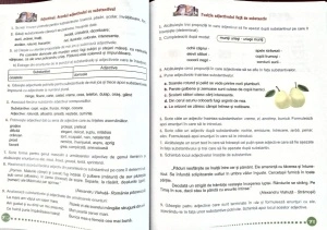 Exerciții de Limba și Literatura Română, Clasa a IV-a - Img 4