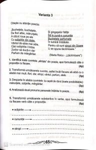 Limba și Literatura Română - Mă pregătesc pentru concurs ! Clasa a III-a - Img 5