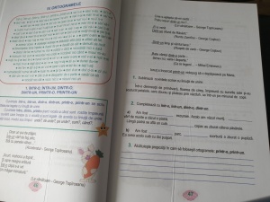 Ortografia și punctuația la clasele primare și gimnaziale - Img 6
