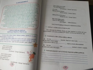 Ortografia și punctuația la clasele primare și gimnaziale - Img 6