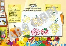 Arte vizuale și abilități practice, Clasa Pregătitoare 