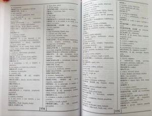 Dicționar - Sinonime, Antonime, Omonime, Paronime - Img 4