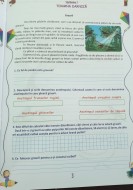 Fişe interdisciplinare, Clasa a II-a - Activități integrate