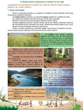 Ştiinţe ale naturii - Caiet de lucru, clasa a IV-a