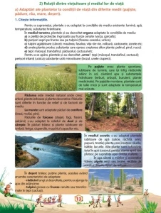 Ştiinţe ale naturii - Caiet de lucru, clasa a IV-a - Img 3